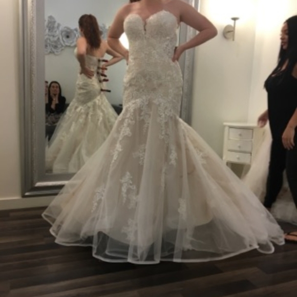 Stella York Wedding Dress - Picture 5 of 6